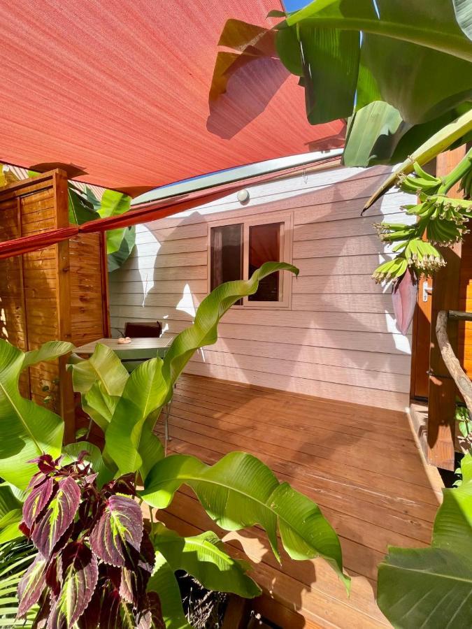 Ferienwohnung Auti Studio Direct Access To The Beach On Moorea With Ac -Wifi - Netflix Haapiti Exterior foto