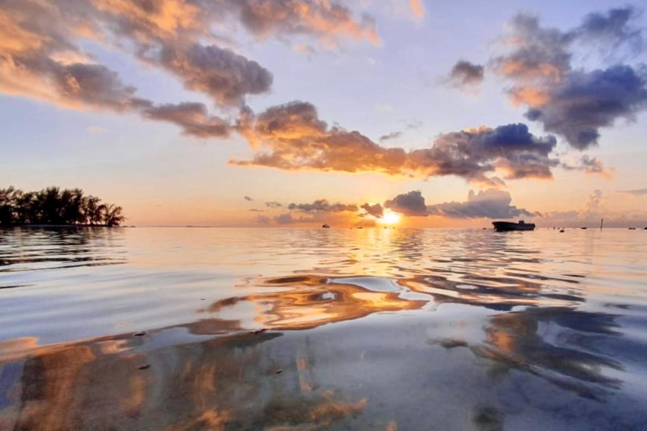 Ferienwohnung Auti Studio Direct Access To The Beach On Moorea With Ac -Wifi - Netflix Haapiti Exterior foto